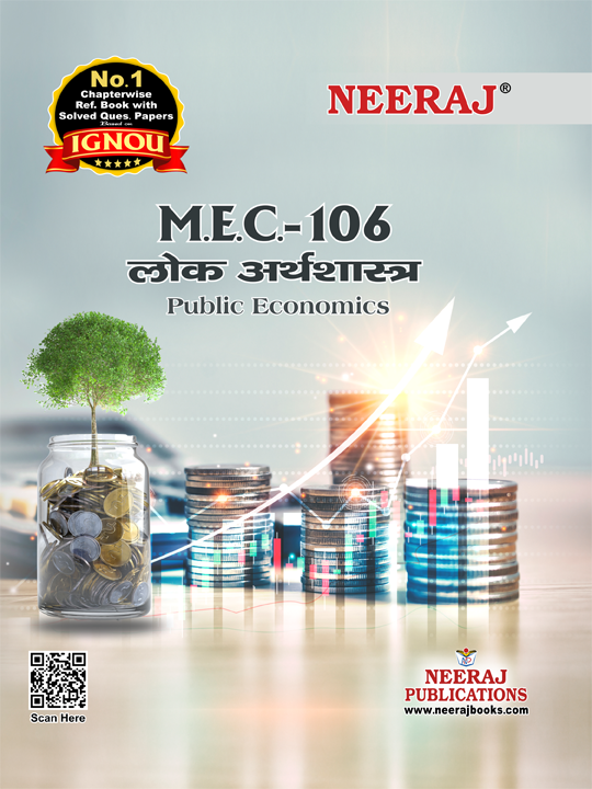 Public Economics