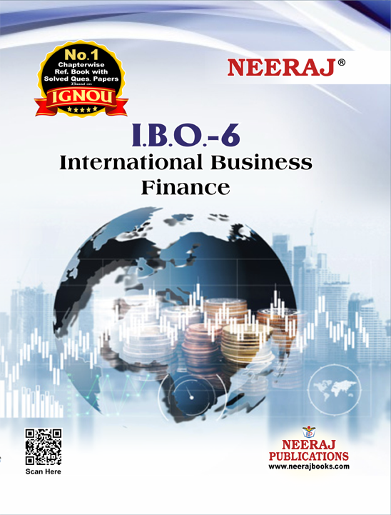 International Business Finance