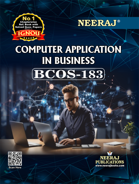 Computer Application in Business