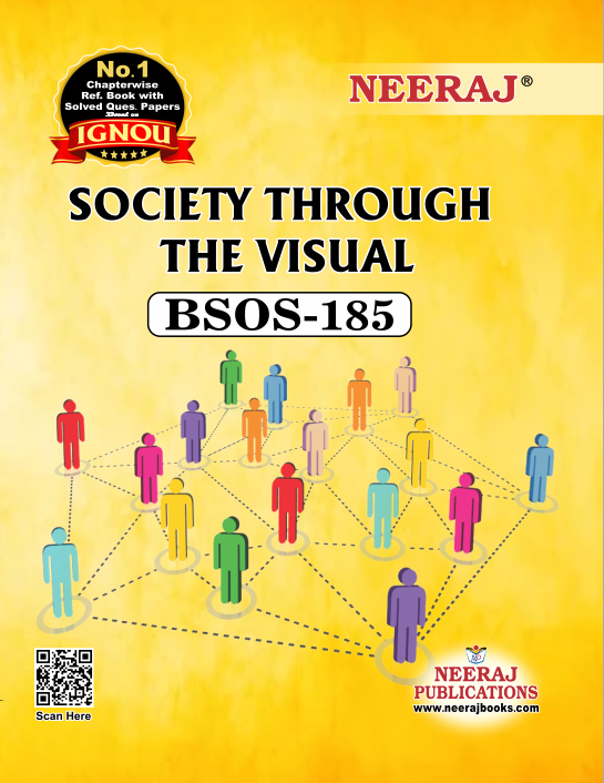Society Through The Visual